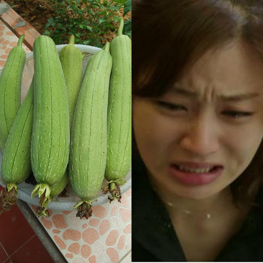 Chồng đêm nào cũng để một trái mướp ở đầu giường, cứ hết trái nhỏ lại đến trái to, tôi tò mò tìm hiểu để rồi khi biết sự thật tôi rùng mình k-inh h-ãi