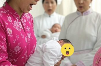 Thuê 3 giúp việc nữ xinh đẹp cùng lúc vì nhà đông người, 4 tháng sau 3 giúp việc đồng loạt đều có th;;ai