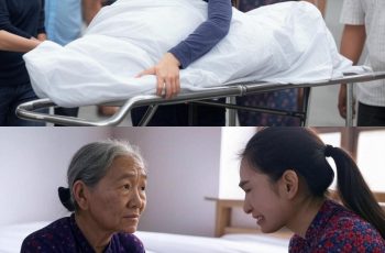 Bạn trai mất vì tai nạn, tôi giúp trả nợ và chăm sóc cha mẹ anh suốt 9 năm, một ngày mẹ anh gọi tôi đến nhà và nói…