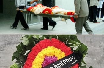 Ba tháng sau khi chia tay mối tình đầu kéo dài suốt năm năm đại học, tôi khoác lên mình chiếc váy cưới trắng muốt, sánh bước bên người chồng hiện tại – một trưởng phòng điềm đạm, thành đạt và hơn tôi tám tuổi.