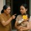 Bà nội cấm tiệt con dâu cho cháu uống sữa bột nước ngoài, cứ mua về bà đều vứt hết ra vườn