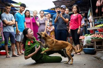 Chó điên tấn công nữ công an giữa phố – Camera vạch trần một sự thật khiến ai cũng sốc