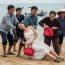 Cô gái bị trôi dạt vào bờ biển làng chài không giấy tờ tùy thân, người dân xúm vào đưa về bờ tổ chức hậu sự thì vừa lật người cô đã rơi ra chiếc túi nhỏ dắt ở eo, mở ra tất cả dẵm lên nhau chạy toán loạn…