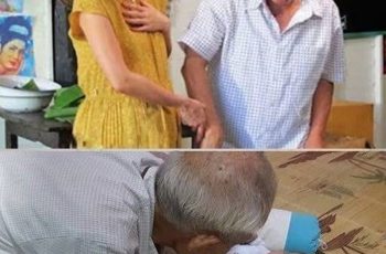 Chồng mất, tôi không đi bước nữa mà ở vậy chăm bố chồng. Ông bảo tôi nghỉ việc ở nhà bố nuôi