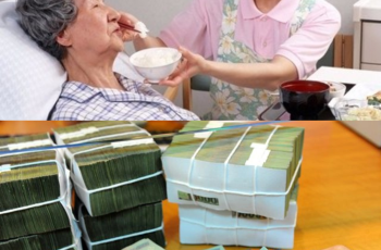 Cho giúp việc thân tín vay 1 tỷ đồng về quê xây nhà rồi mất liên lạc: 10 năm sau tôi nhận được cuộc gọi lạ khiến tôi không giữ được bình tĩnh