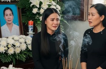 Xin anh trai 100m2 đất, tôi định kiện ra tòa nhưng một câu nói của chị dâu đã khiến tôi thay đổi ý định…
