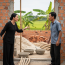 Anh trai giành hết đất, em gái im lặng làm giàu, rồi khiến anh t;ái m;ặt với màn “phản đòn” cao tay…