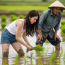 Con gái lên thành phố làm việc lương tháng 50 triệu bỗng một ngày kêu chán muốn về quê chăn trâu. Tôi khuyên con hết lời sao đang làm việc nhẹ lương cao lại muốn về quê lội bùn nhưng nó chỉ lắc đầu không nghe. Hôm con gái ra đồng bón phân, tôi vô tình nhìn thấy tờ kết quả xét nghiệm giấu trong vali khiến chân tay rụng rời….