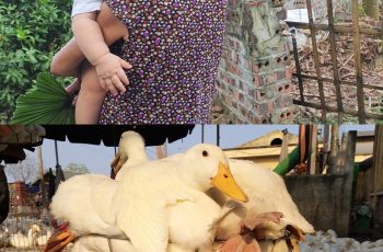 Tôi rất khó xử…Ngày con dâu sinh cháu đầu lòng, con muốn được bà thông gia chăm sóc vì mẹ con dễ nói chuyện và tiện lợi nhưng con trai lại muốn tôi lên chăm cháu rồi ở cùng các con. Dù sao ông nhà tôi mất cũng đã lâu, giờ tôi có tuổi chỉ ở nhà loanh quanh gà vịt sống qua ngày nên ở quê hay ở cùng các con cũng vẫn vậy.
