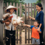 Sáng sớm bảnh mắt ra đã thấy mẹ đẻ đến ngồi ngay ở trước cổng, tay cầm 2 con gà, 1 con vịt