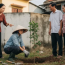 Bố mẹ chồng chơi lô đề nợ nần, đề nghị bán nhà gấp cho chúng tôi để trả nợ nhưng lại bảo không cần sang tên
