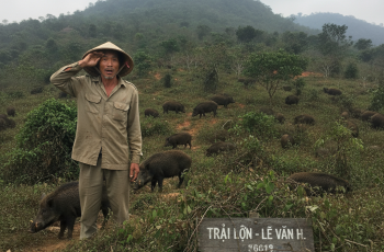 Suốt 5 năm, Lâm không đặt chân trở lại ngọn núi ấy