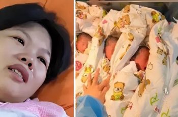 Vợ vừa sinh 4 bé trai, chồng sợ bỏ chạy, mẹ chồng khuyên đem cho bớt, kết cục khiến nhiều người xúc động Vợ vừa sinh 4 bé trai, chồng sợ bỏ chạy, mẹ chồng khuyên đem cho bớt, kết cục khiến nhiều người xúc động